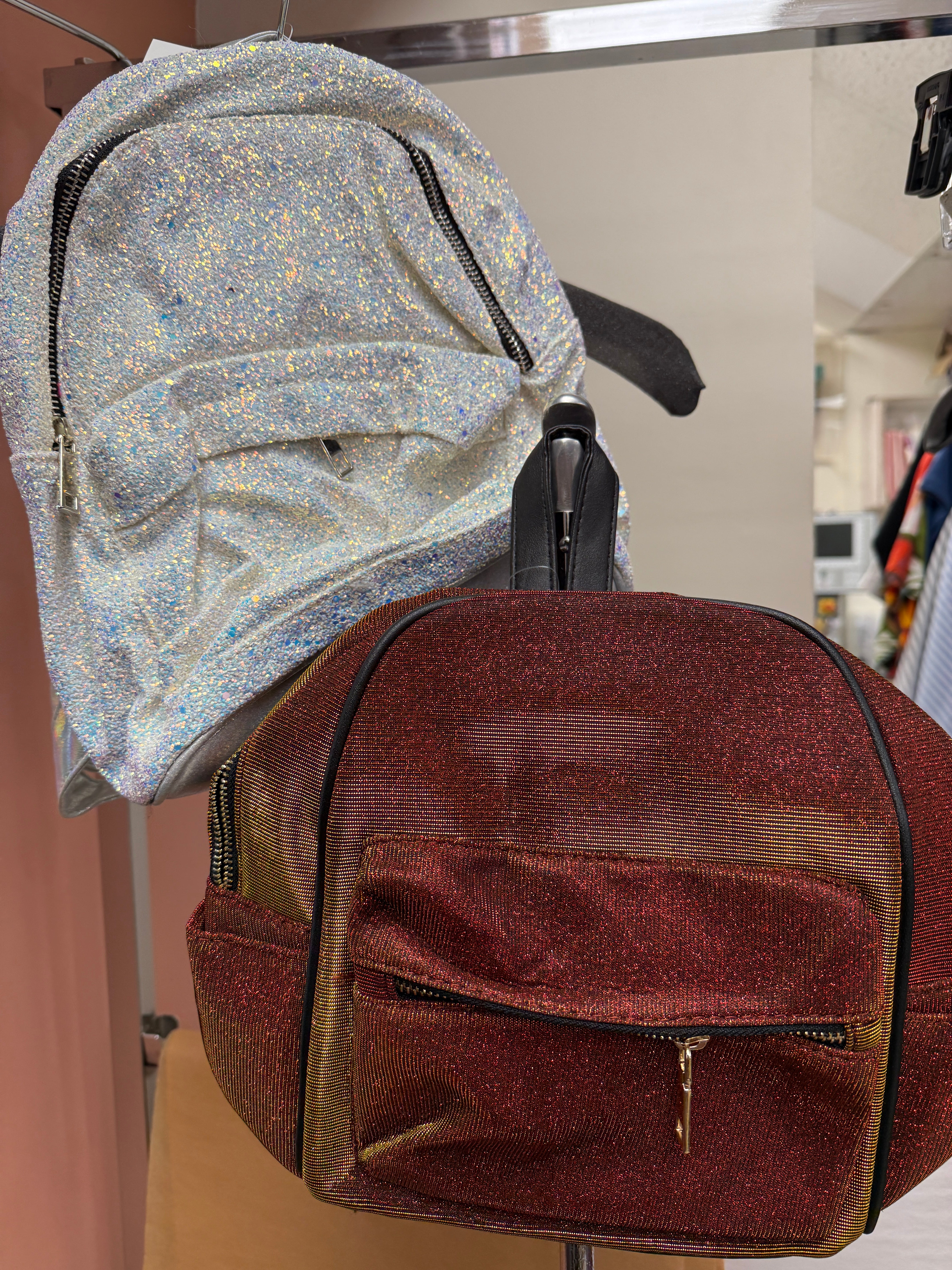 Iridescent Small Back Pack Robin Boutique