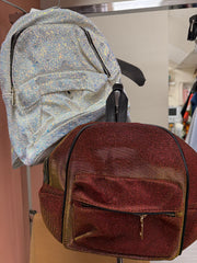 Iridescent Small Back Pack Robin Boutique