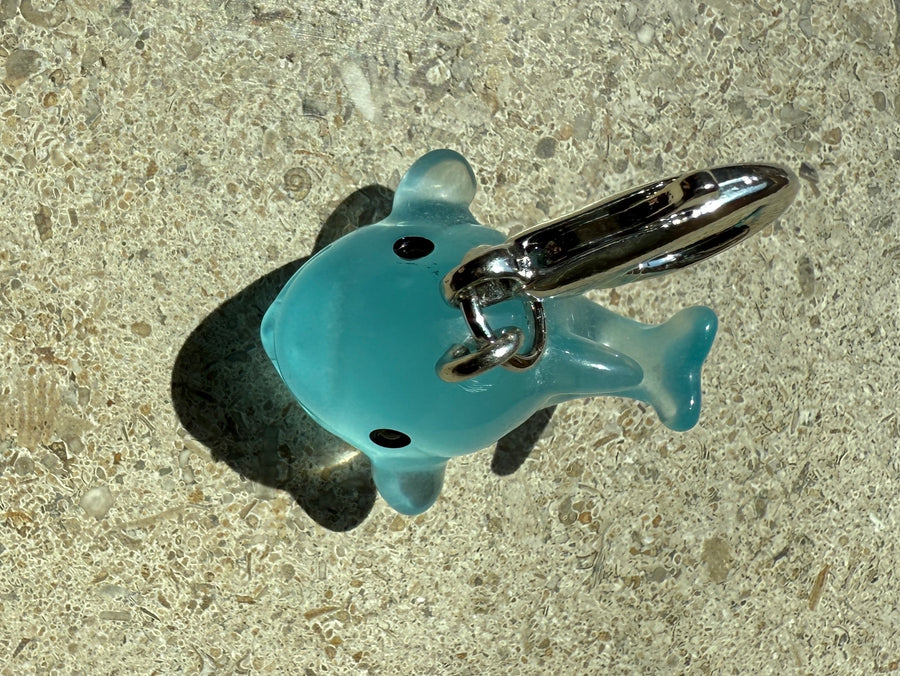 Blue Dolphin Luminous Charm Robin Boutique