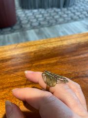 Locust Love Wrap Ring in Bronze
