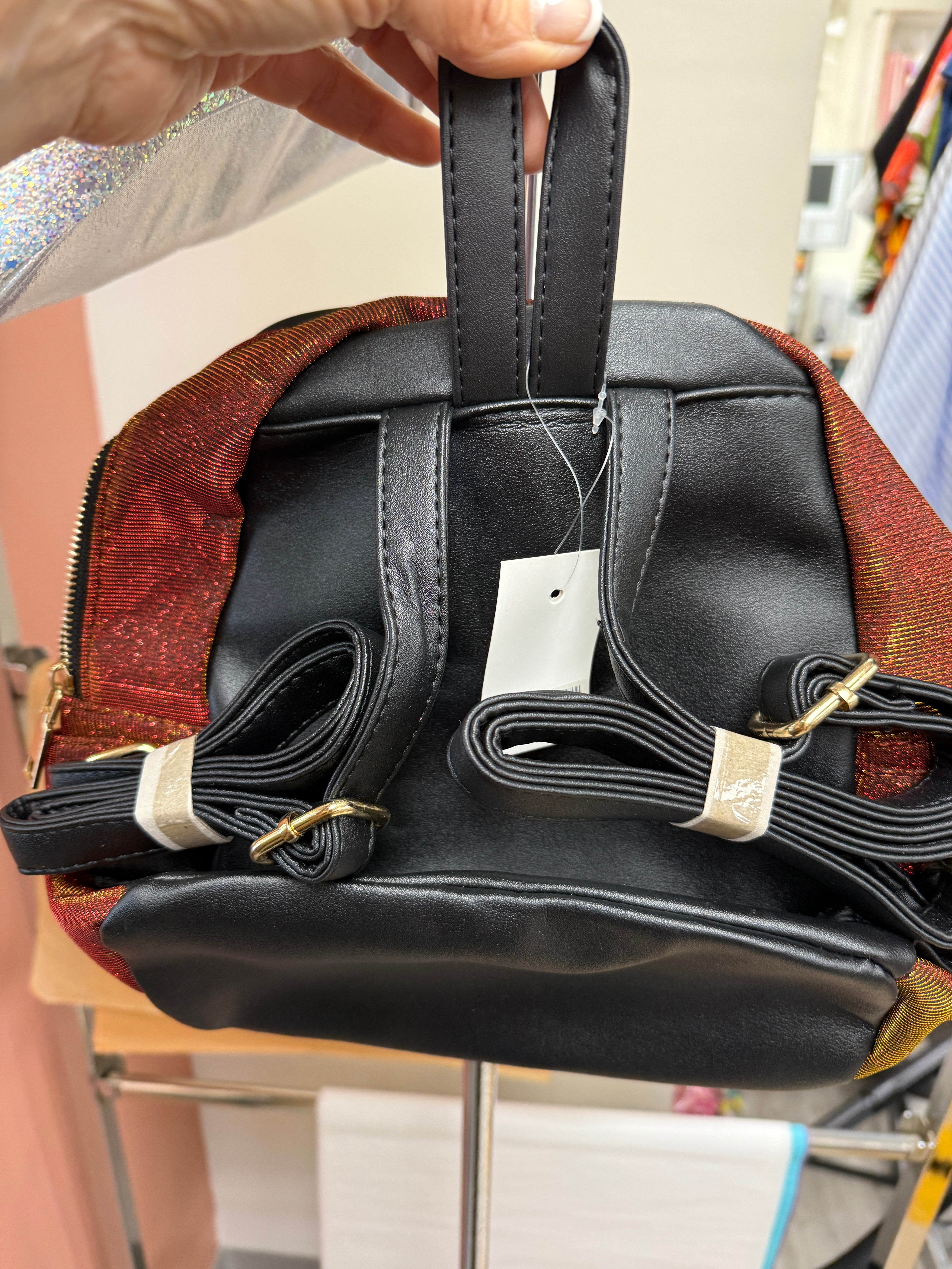 Iridescent Small Back Pack Robin Boutique