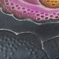 L'Artiste Annawan Shoes