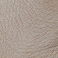 Spring Step Berna Leather Shoes