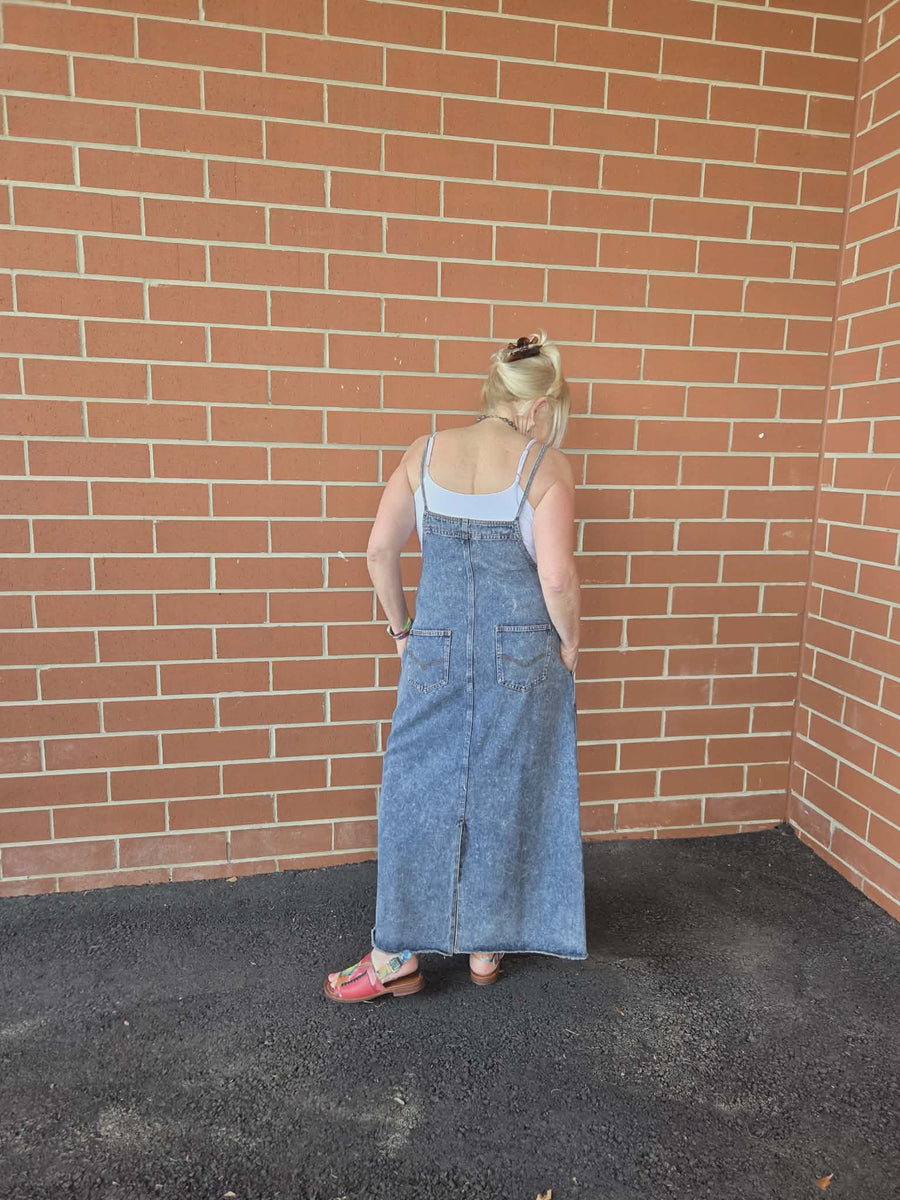Denim Overall Dress by Davi & Dani