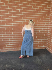 Denim Overall Dress by Davi & Dani
