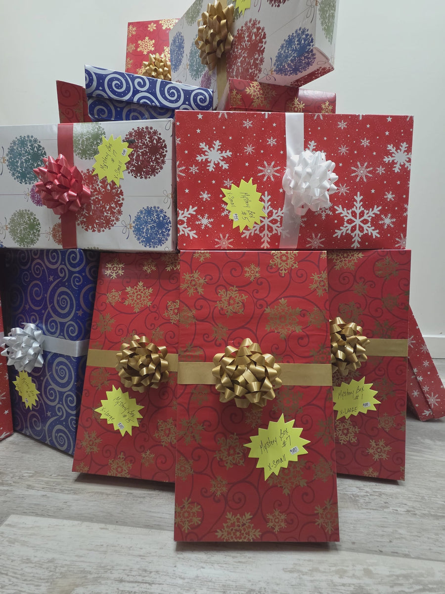 🎁✨ Mystery Box #10 size LARGE