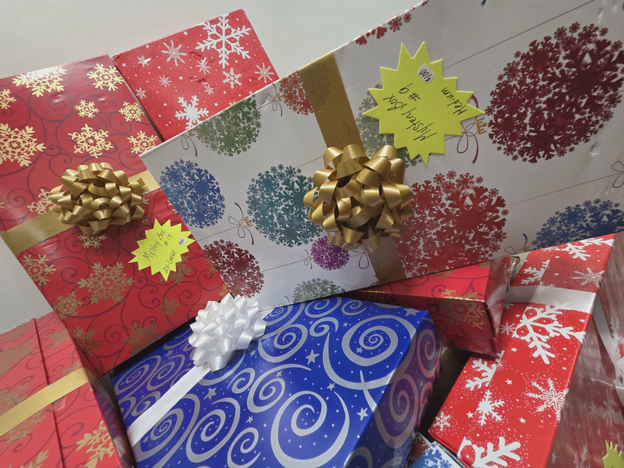 🎁✨ Mystery Box #10 size LARGE