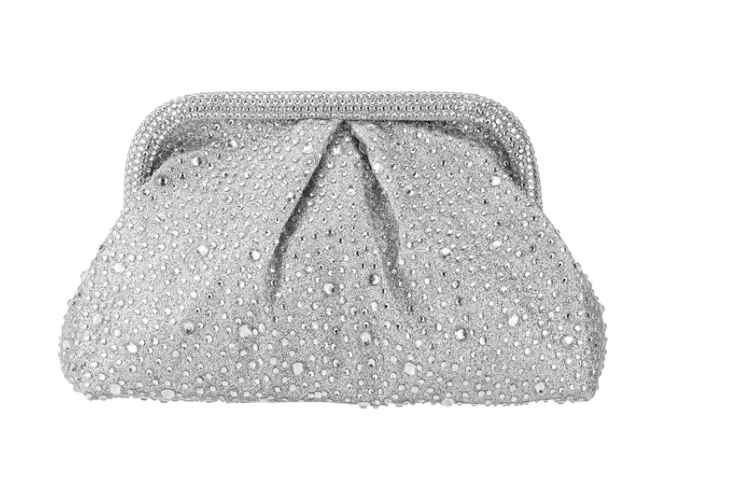 Evening Clutch Handbag with Embelishments