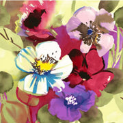 Cici Dress in Flower Splash by Jams World
