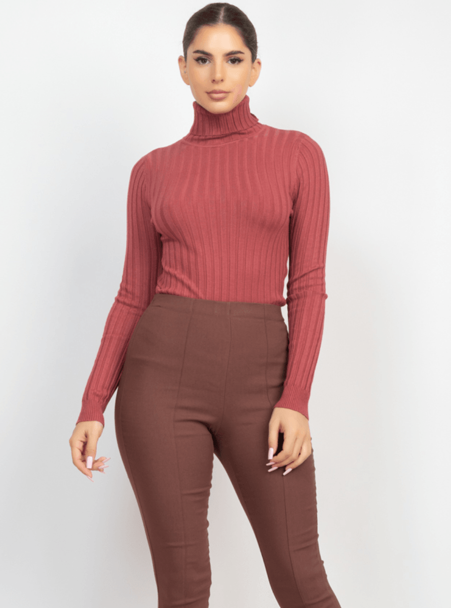 Ribbed long sleeve turtleneck sweater HMSW50167 - Robin Boutique-Boutique 